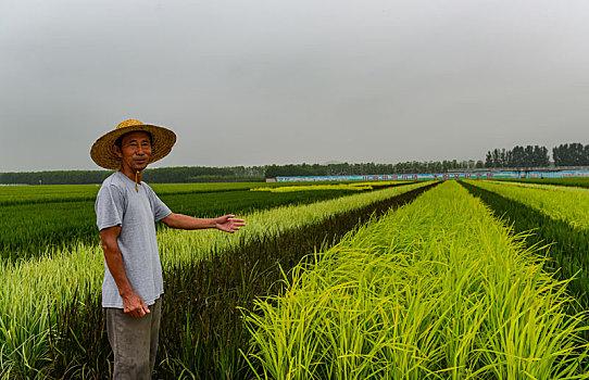 致富养殖业_兽医养殖致富项目_致富养殖兽医项目介绍