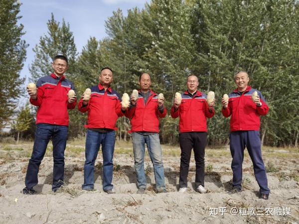 农广天地韭黄种植技术视频_致富经韭黄种植视频_致富经央视韭黄种植