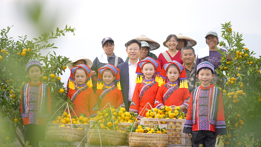 蜜桔的种植_蜜桔种植技术视频_蜜桔栽培技术