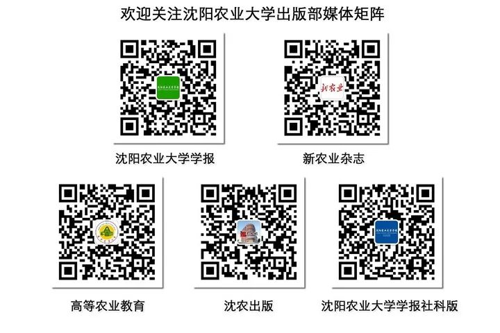 玉米—红薯轮作模式下红薯高产栽培技术探究