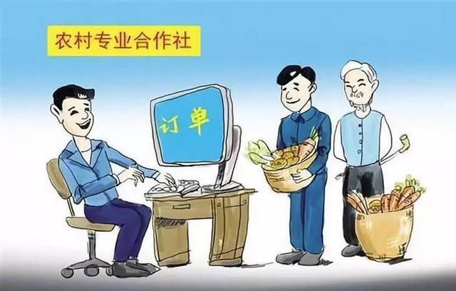 农民合作社要提升质量，才能更好的带动农民发展致富