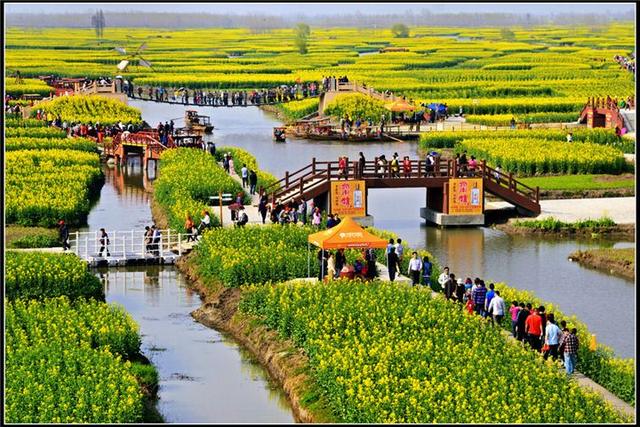 致富种植农民行业现状_农民致富种植项目_农民种植致富行业