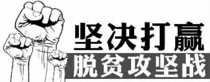 新田村驻村书记自费试种中草药树样板 ── 包技术包销路，给村民吃下致富“定心丸”