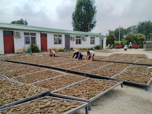 丘陵适合种植什么药材_农村致富种植_广东丘陵种植致富