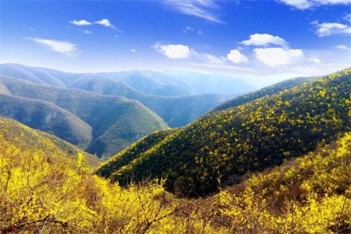 农民种植火麻致富_种植火麻亩产量有多少斤_火麻种植基地