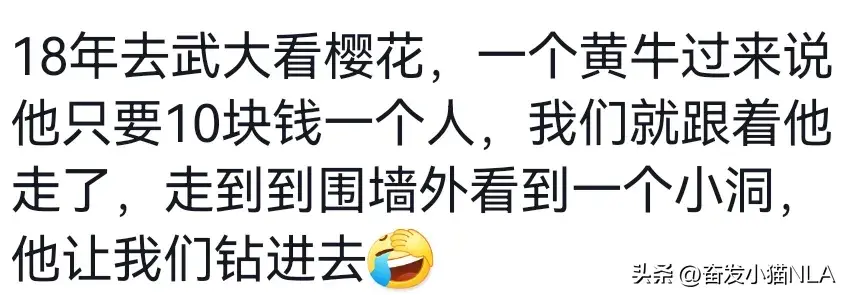 黄牛养殖技术视频全集_视频养殖黄牛技术培训_黄牛的养殖技术视频