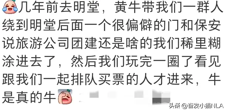 视频养殖黄牛技术培训_黄牛养殖技术视频全集_黄牛的养殖技术视频