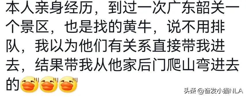 黄牛养殖技术视频全集_黄牛的养殖技术视频_视频养殖黄牛技术培训