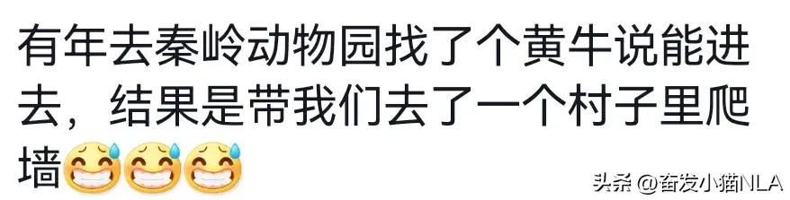 视频养殖黄牛技术培训_黄牛的养殖技术视频_黄牛养殖技术视频全集