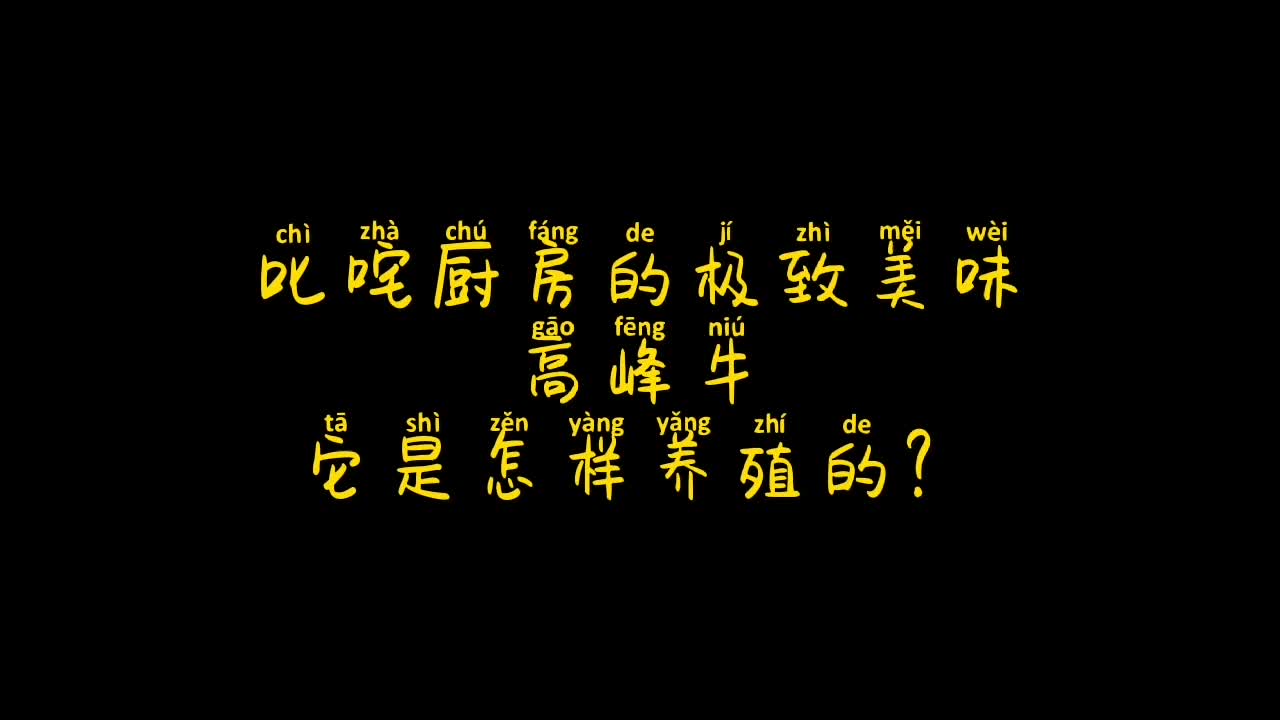 视频丨发挥广南畜牧特色 高峰牛养殖带动脱贫