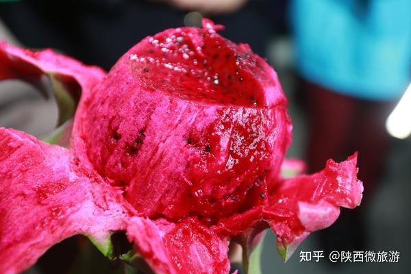 种植香菇增收致富_香菇种植致富经_香菇种植收益如何