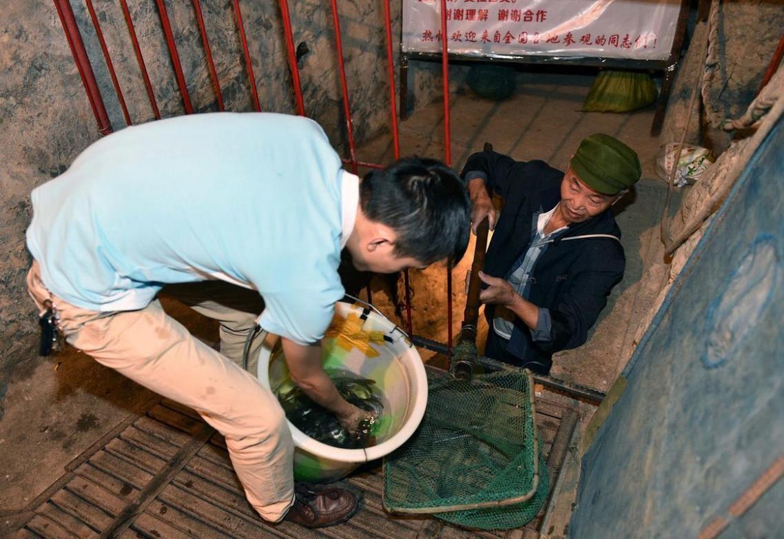 致富经泉水高产养鱼视频_致富泉水养殖项目简介_泉水养殖致富项目