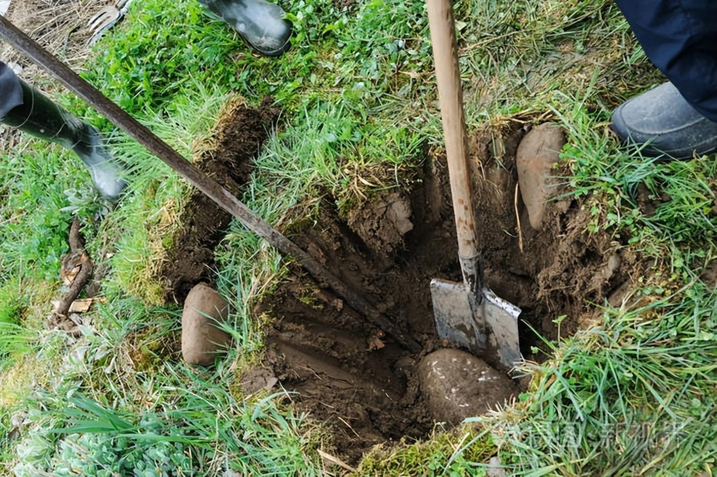 致富泉水养殖项目简介_泉水养殖致富项目_致富经泉水高产养鱼视频