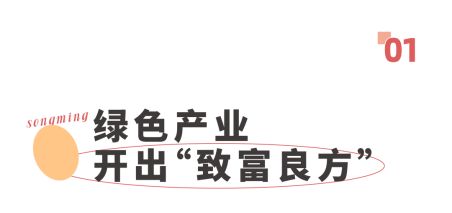 致富经土鸡养殖技术视频_致富金土鸡养殖_土鸡养殖致富经2019年全集