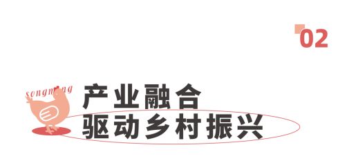 致富经土鸡养殖技术视频_致富金土鸡养殖_土鸡养殖致富经2019年全集