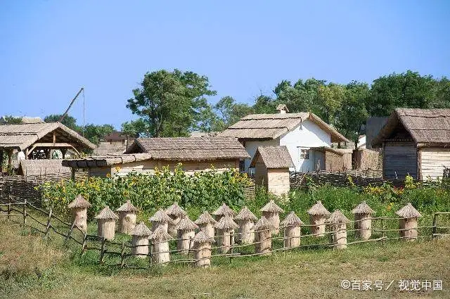 中蜂养殖技术视频换王_蜂群换王视频_蜂王陪养殖技术视频