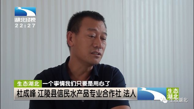 致富经乌龟养殖场的视频_养殖食用龟致富_致富经乌龟