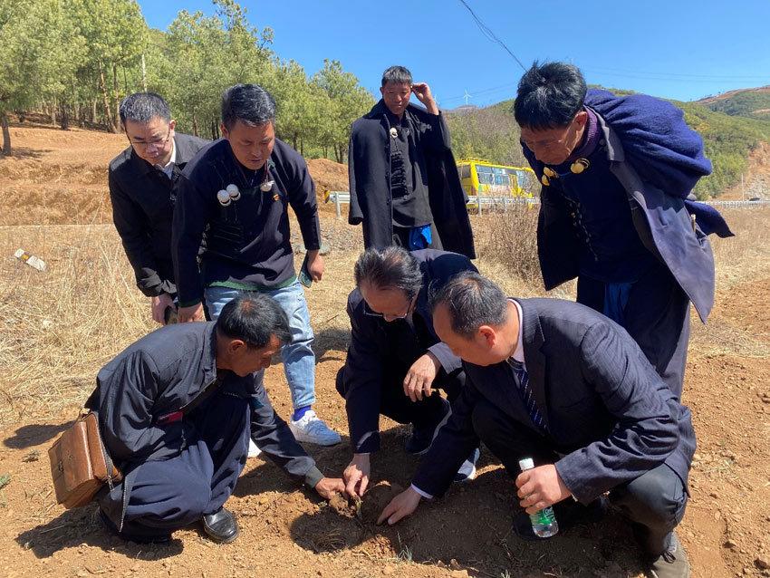 中草药养殖技术培训_中草药养殖技术大全_培训养殖药中草技术视频