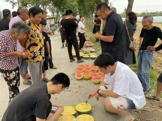 商丘西瓜种植致富_河南西瓜育苗基地_致富经西瓜种植全视频