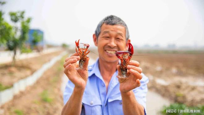 新手养殖泥鳅技术_养殖新手泥鳅技术视频_养殖泥鳅的技术