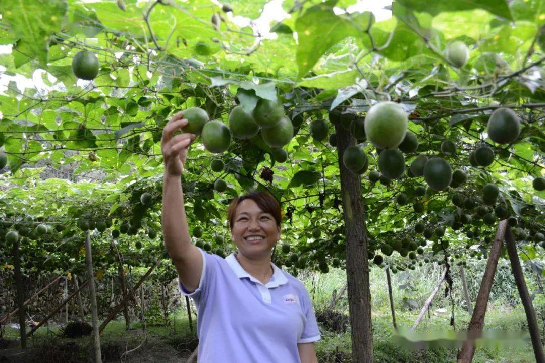 永福养殖_致富种植视频全集_永福种植致富