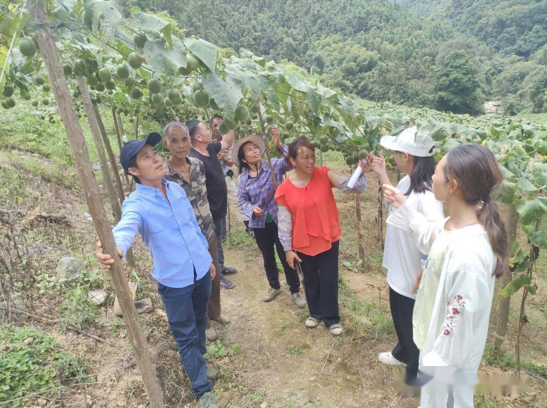 永福种植致富_致富种植视频全集_永福养殖