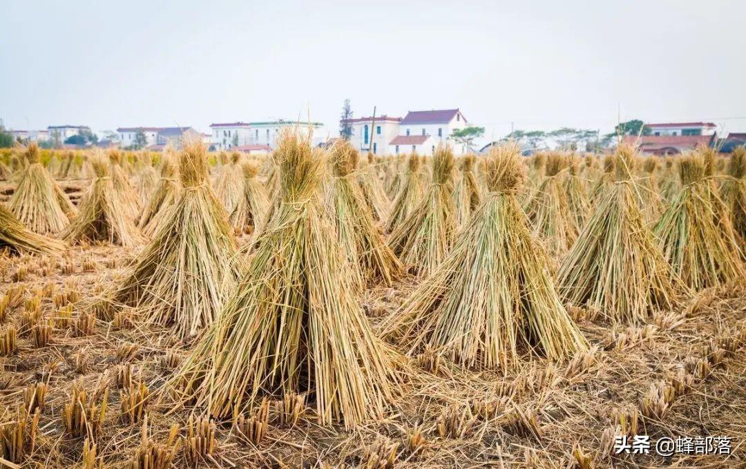 致富经养马致富人视频_致富经养马_致富经大漠养马视频