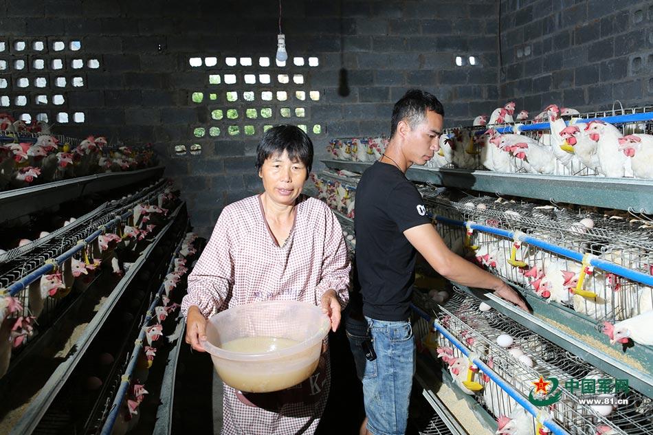 养殖鸡致富经视频_养鸡致富视频_原鸡养殖致富经