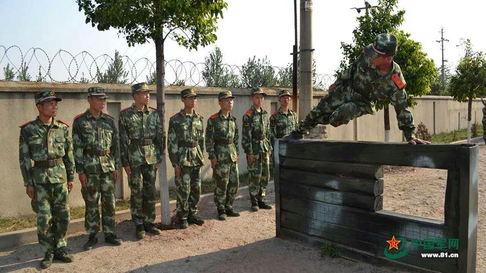 养殖鸡致富经视频_养鸡致富视频_原鸡养殖致富经