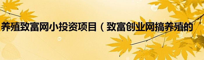 养殖致富网小投资项目_致富网小投资项目2021养殖_致富网养殖业