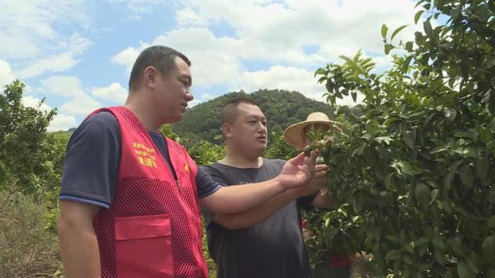 种植致富业_永福养殖_永福种植致富