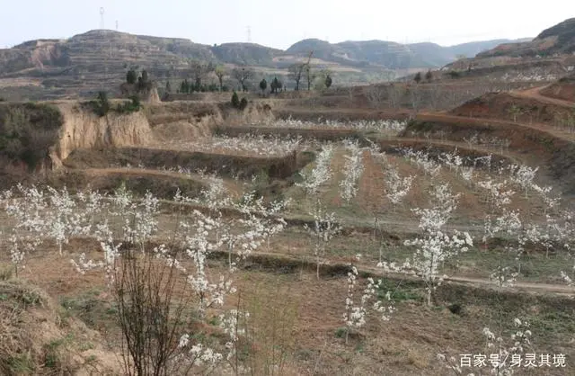 种菜致富案例_采访种植大户的报道_发展蔬菜种植致富路采访