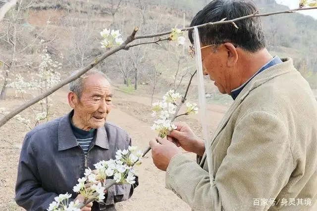 种菜致富案例_采访种植大户的报道_发展蔬菜种植致富路采访