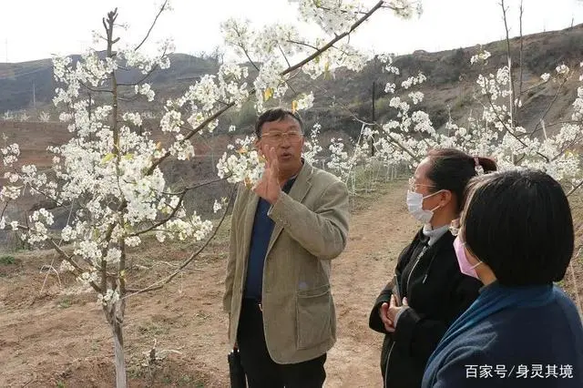 采访种植大户的报道_种菜致富案例_发展蔬菜种植致富路采访