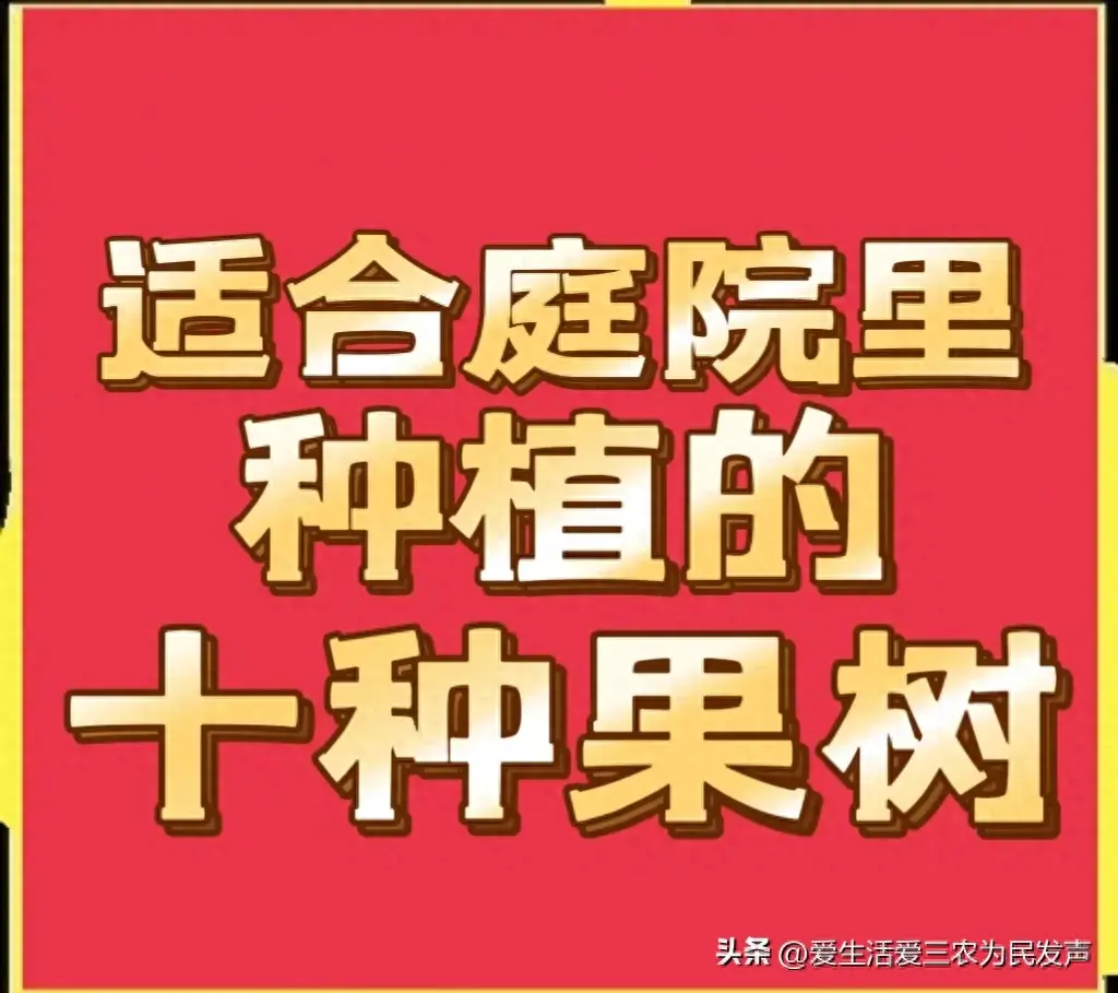 庭院里种上这十种果树，既能一年四季吃水果又能赚钱，生活真惬意