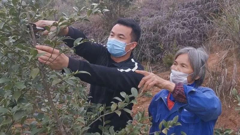 荷田种植致富_荷田种植致富_荷田种植致富