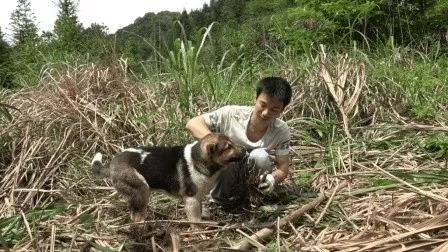 两兄弟养殖致富_养殖致富经_致富养殖业