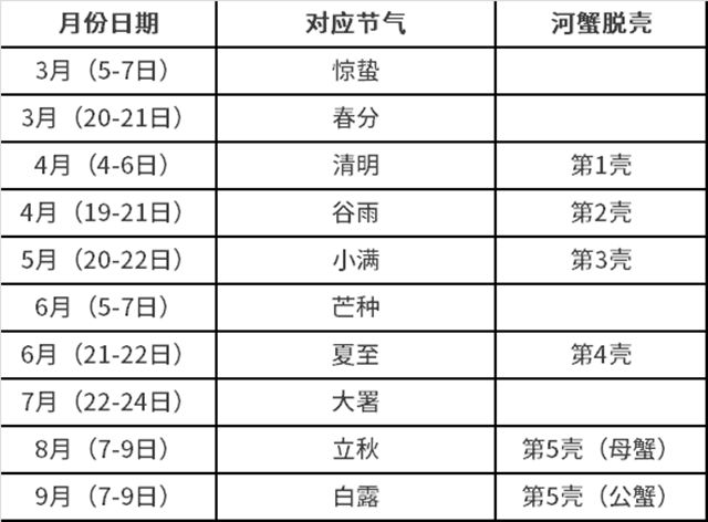 螃蟹养殖技术放苗时间_螃蟹苗怎么养_螃蟹苗养殖什么时候放苗