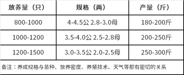 螃蟹养殖技术放苗时间_螃蟹苗怎么养_螃蟹苗养殖什么时候放苗