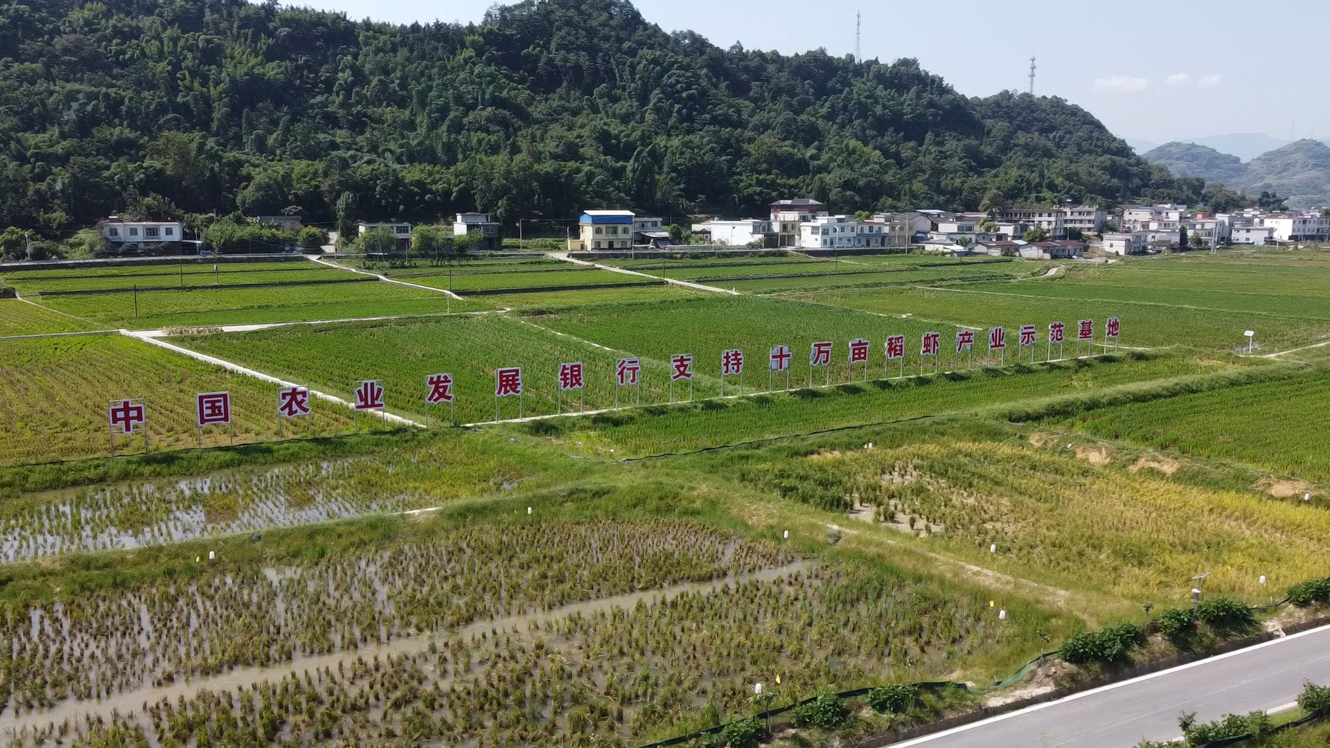 农村致富新项目养殖_农村致富项目养殖_农村养殖致富小技巧电话