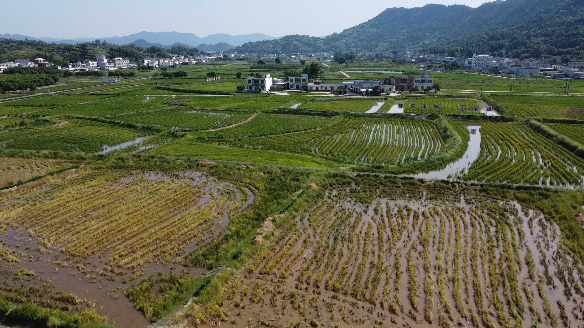 农村致富新项目养殖_农村养殖致富小技巧电话_农村致富项目养殖