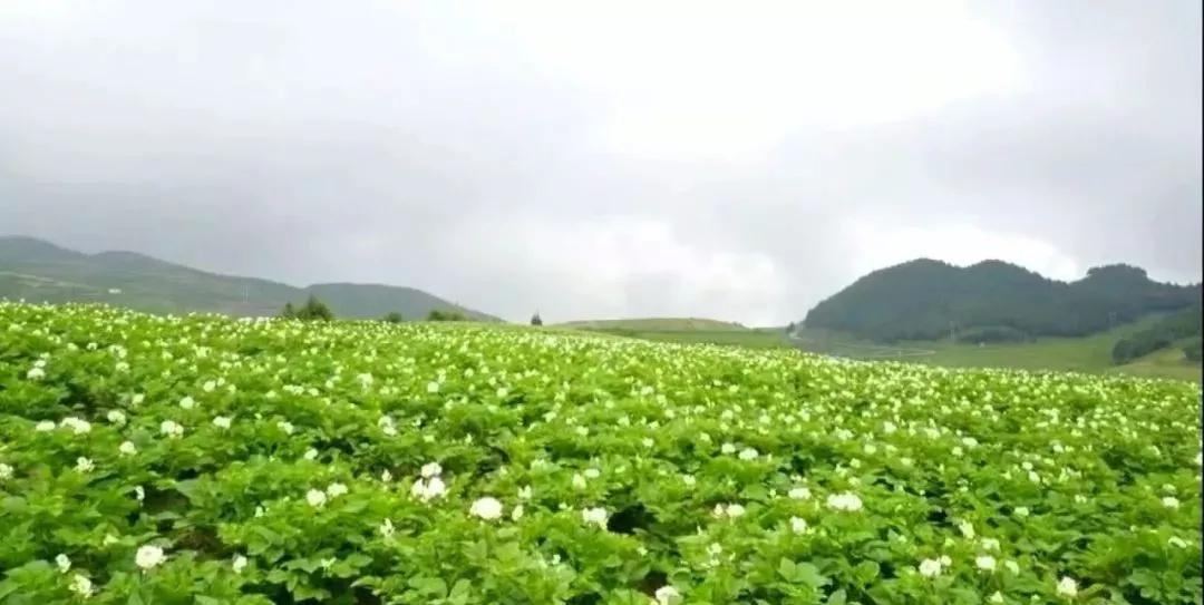 致富养殖视频_农村致富项目养殖_农村养殖致富小技巧电话