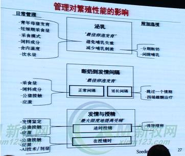 养殖母猪的技术_科学养殖母猪种猪技术与管理_科学种猪母猪养殖技术