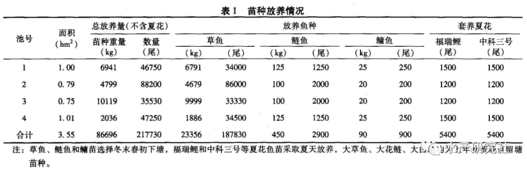 通过养殖户高产养殖案例为您详解池塘轮捕轮放高产高效养殖技术！