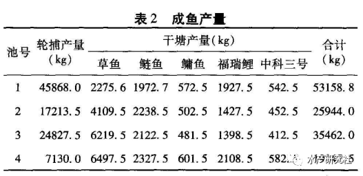 池塘主养鳙鱼养殖高产技术_鳙鱼养殖成本及利润_养殖鳙鱼的技术和视频