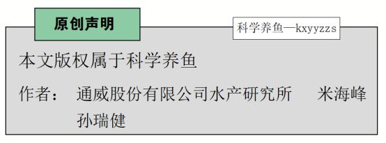 鳙鱼养殖成本及利润_池塘主养鳙鱼养殖高产技术_鳙鱼高产养殖技术视频