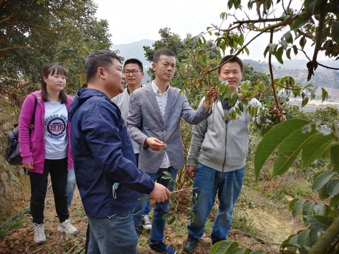 宁德农村致富种植_宁德富有特色的农业产品_福建宁德农村怎么样