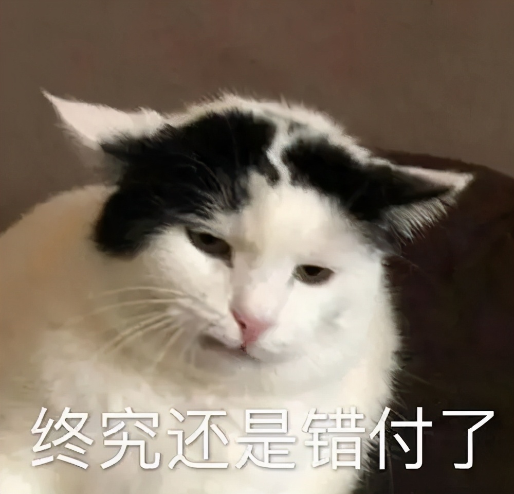 致富经之猪蹄_猪蹄创业_致富经猪蹄