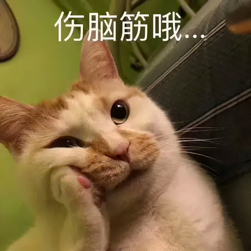 猪蹄创业_致富经猪蹄_致富经之猪蹄