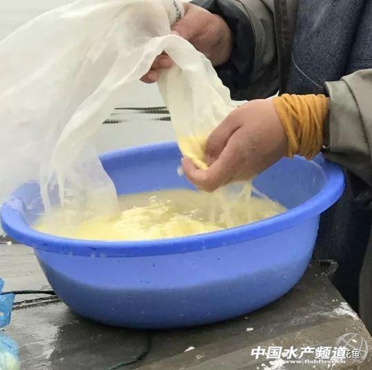 水花网箱养殖技术_自制乌龟养殖箱的材料_中华蜜蜂格子箱养殖吧